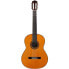 Felipe Conde CE-4 Classical Cedar