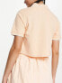 Daisy Street Active crop tennis polo in peach