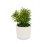 Декоративное растение Белый Зеленый (14 x 20 x 14 cm) (12 штук)