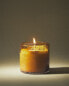 (250 g) evergreen frost scented candle