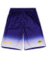 Фото #1 товара Men's Purple Los Angeles Lakers Big and Tall Fadeaway Shorts