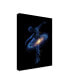 Фото #2 товара Robert Farka Cosmic Dance Canvas Art - 19.5" x 26"