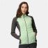 Women's Sports Jacket Regatta Andreson VIII Lime green