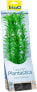 Фото #1 товара Декоративное растение Tetra DecoArt Plant L Зеленая Kabomba