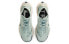 Nike Pegasus Trail 3 GTX DC8794-003 Trail Running Shoes