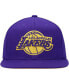 ფოტო #3 პროდუქტის Men's Purple Los Angeles Lakers Two Tonal Snapback Hat