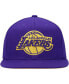 Men's Purple Los Angeles Lakers Two Tonal Snapback Hat