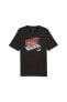 Graphics Sneaker Box Tee Erkek T-shirt