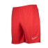 Фото #1 товара Nike Dry Academy 21 M CW6107-657 Shorts