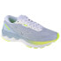 Фото #1 товара Кроссовки женские Mizuno Wave Skyrise 3 W J1GD220901