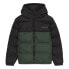 Фото #2 товара ELEMENT Classic Puffa jacket