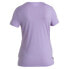 Фото #4 товара ICEBREAKER Merino 150 Tech Lite III Hike Path short sleeve T-shirt