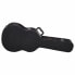 Ortega Classical Guitar Case OCCSTD