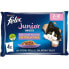 Фото #2 товара PURINA Felix Fantastic Junior Grill Gelatin 4x85g Cat Snack 12 Units