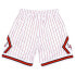 Mens Mitchell & Ness NBA RELOAD SWINGMAN SHORTS - CHICAGO BULLS 1995