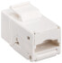 Wentronic Keystone Module RJ45 CAT 6 - UTP - 250 MHz - Flat - White - RJ-45 - IDC - Female - Cat6