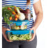 Фото #8 товара KITCHENCRAFT 1L Lunch box