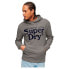 Фото #1 товара SUPERDRY Venue Classic Logo hoodie