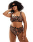 Фото #1 товара ASOS DESIGN Curve Adrienne high leg high waist bikini bottom in oversized animal