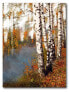 Фото #1 товара Birch Dream Gallery-Wrapped Canvas Wall Art - 16" x 20"