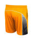 Men's Tennessee Orange Tennessee Volunteers Laws of Physics Shorts