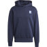 ADIDAS Ajax Amsterdam Seasonal Doubleknit hoodie