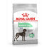 Фураж Royal Canin Maxi Digestive Care 12 kg Для взрослых птицы