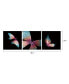 Decor Butterfly 3 Piece Set Wrapped Canvas Wall Art Painting -16" x 48"