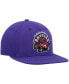 Men's Purple Toronto Raptors Hardwood Classics Team Ground 2.0 Snapback Hat
