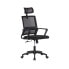 Office Chair EDM Ergonomic Black