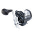 Shimano TORIUM Conventional Reels (TOR40HGA) Fishing