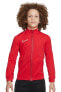 Фото #1 товара Dri-FIT Academy 23 Çocuk Ceket DR1695-657