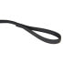 JULIUS K-9 Rubberized Leash 14 mm