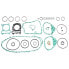 CENTAURO + ORing Piaggio APE TM P 602 220cc complete gasket kit