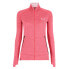 Фото #1 товара SALEWA Pedroc Polarlite full zip fleece