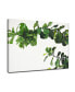 Фото #2 товара 'Vine' Botanical Canvas Wall Art, 20x30"