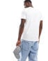 Hollister icon logo crew neck t-shirt in white