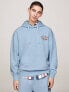 Фото #1 товара Tommy Jeans Pullover Hoodie in Blue Grey