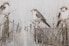 Фото #11 товара Acrylbild handgemalt Gesang der Vögel