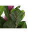 Фото #3 товара Декоративное растение DKD Home Decor Розовый Зеленый PE (60 x 60 x 125 cm)