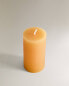 Фото #5 товара (155 g) citronella scented candle