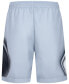 Big Boys Air Heatmap Diamond Mesh Shorts