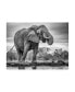 Фото #1 товара Jaco Marx Standing Proud Elephant Canvas Art - 20" x 25"