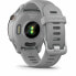 Smartwatch GARMIN Forerunner 255S Grey 1,1"