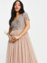Maya Petite Bridesmaid short sleeve maxi tulle dress with tonal delicate sequins in muted blush
