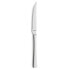 Фото #1 товара Набор ножей для мяса Amefa Atlantic Сталь Металл 12 штук