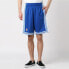 Mitchell Ness SW 96-97 Basketball Pants / Workout LALROYA96