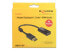 Фото #1 товара deLOCK 62609 видео кабель адаптер 0,2 m DisplayPort HDMI Черный