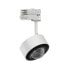 PAULMANN Aldan - Rail lighting spot - 1 bulb(s) - LED - 8.2 W - 4000 K - Black - White