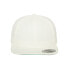 Фото #1 товара FLEXFIT Classique cap